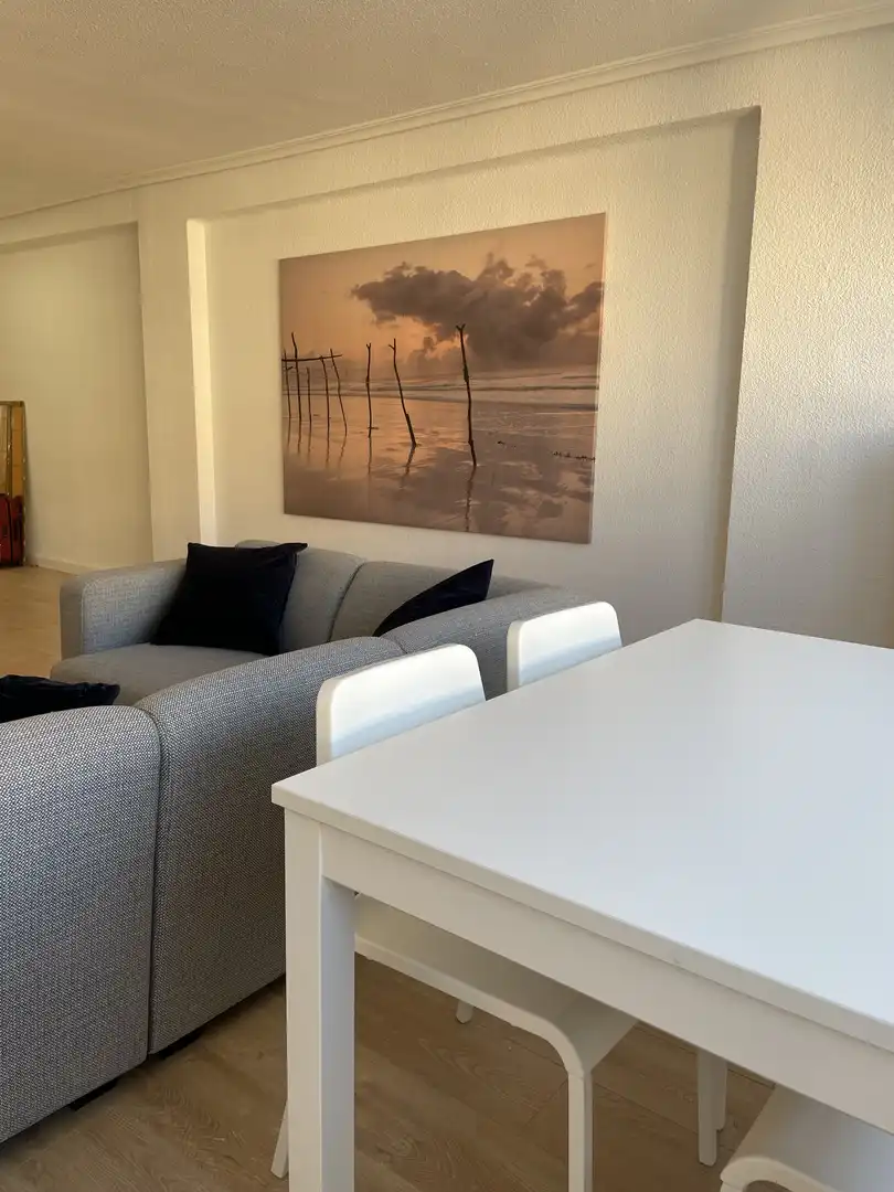 Sala d'estar de Pis de lloguer en Valencia amb Parquet, Moblat i Videoporter