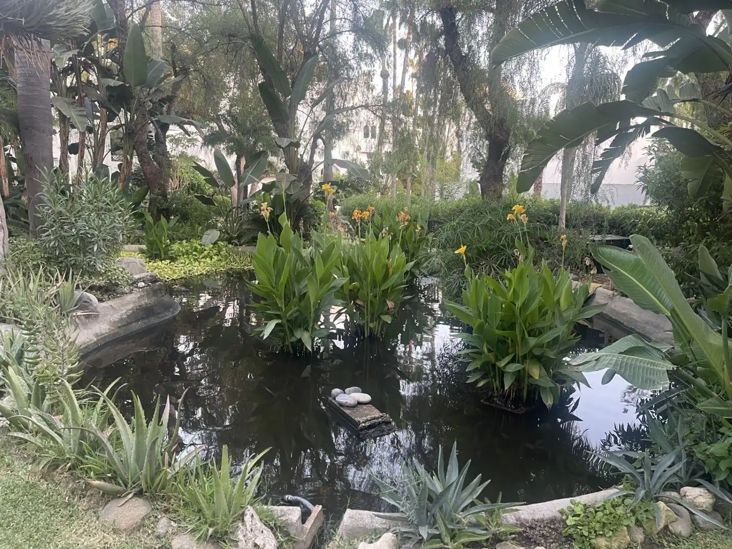 Jardí de Apartament de lloguer en Marbella amb Aire condicionat, Calefacció i Terrassa