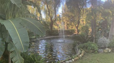 Foto 4 de Apartament de lloguer a Reserva de Marbella, Marbella