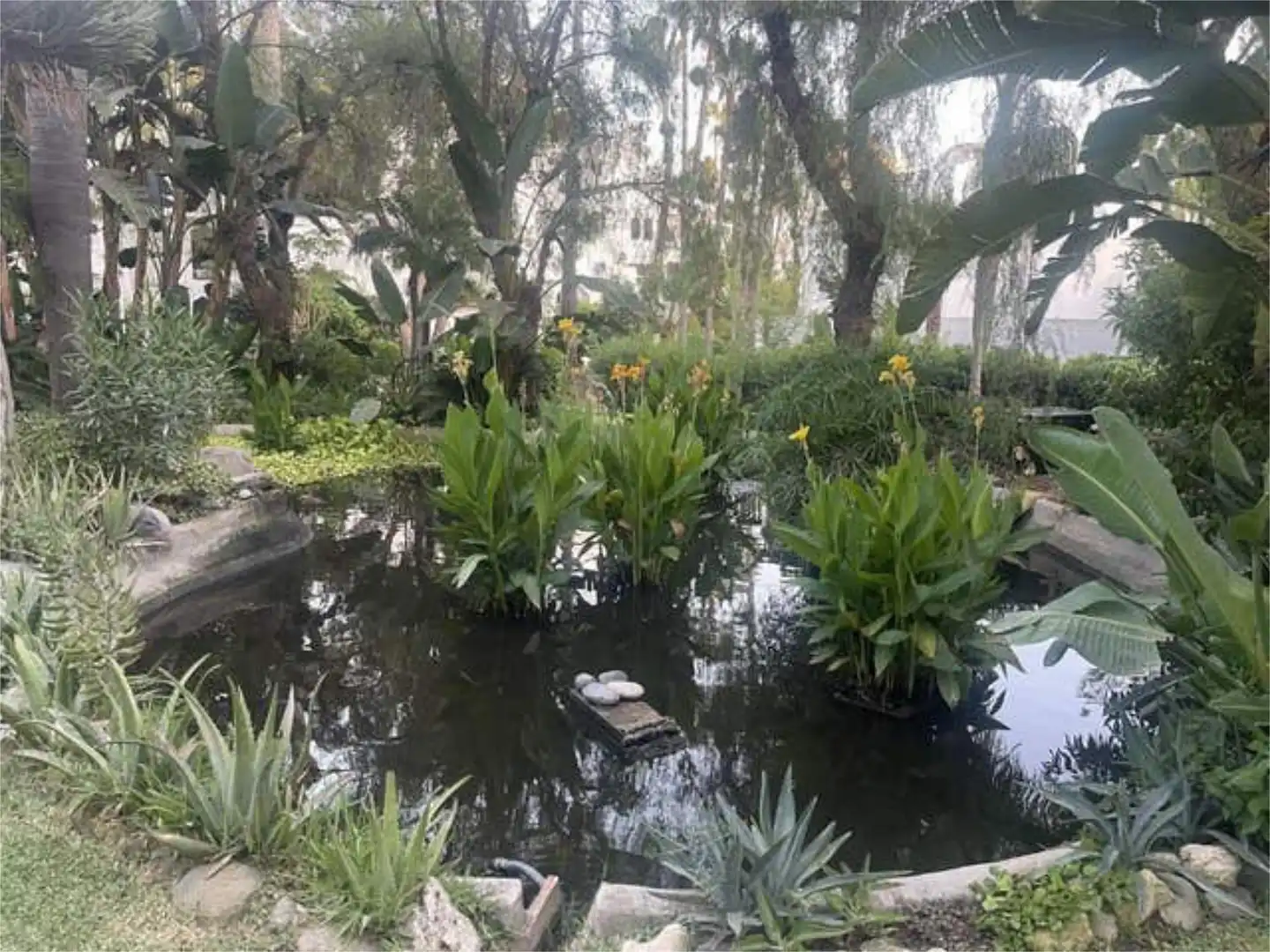 Jardí de Apartament de lloguer en Marbella amb Calefacció, Jardí privat i Terrassa