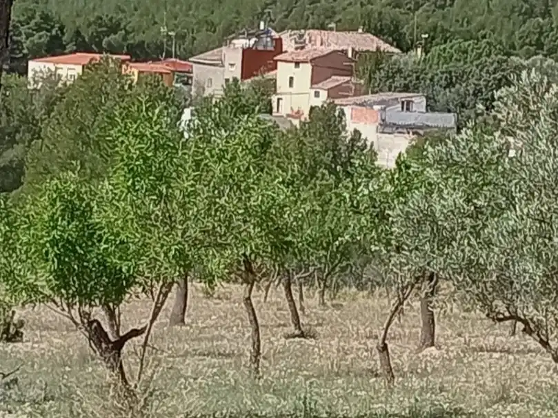 Casa o chalet en venta en Camino Andilla, 8, Andilla Casa o chalet en venta en Andilla con Calefacción, Jardín privado y Terraza
