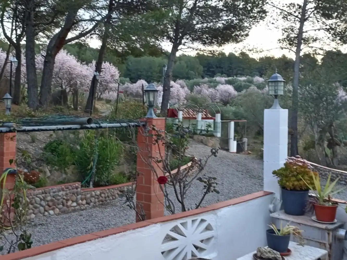 Casa o chalet en venta en Camino Andilla, 8, Andilla Jardín de Casa o chalet en venta en Andilla con Calefacción, Jardín privado y Terraza