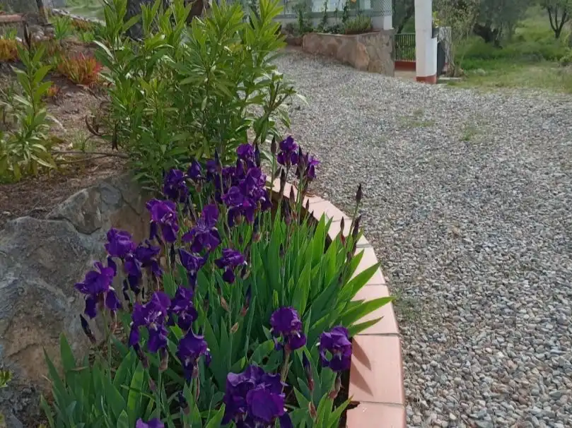 Casa o chalet en venta en Camino Andilla, 8, Andilla Jardín de Casa o chalet en venta en Andilla con Calefacción, Jardín privado y Terraza