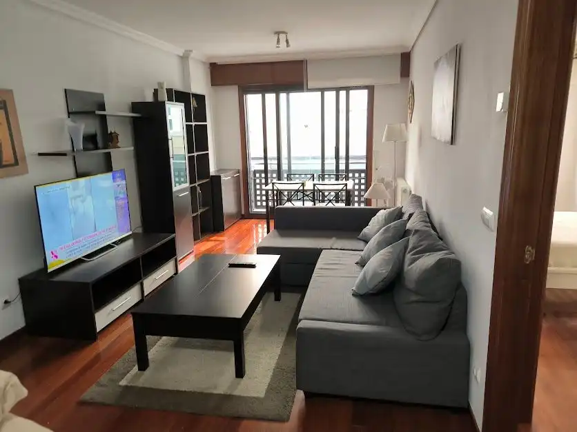 Living room of Apartments for rent in Vigo   with Heating, Parquet flooring and Furnished