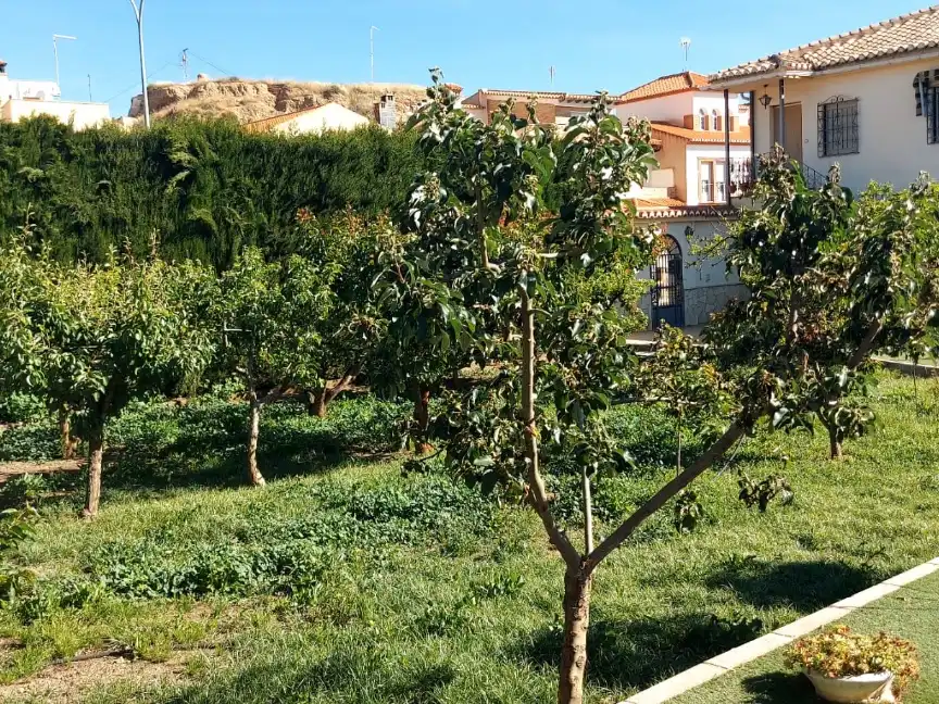 Garden of Houses for sale in Guadix  with Air Conditioner, Terrace and Swimming Pool