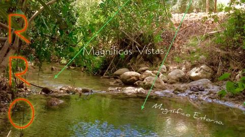 Finca rústica en venta en Ceal, 64, Huesa, Jaén - imagen 3 Foto 3 de Finca rústica en venta en Ceal, 64, Huesa, Jaén