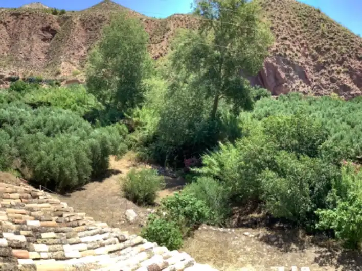 Finca rústica en venta en Ceal, 64, Huesa Jardín de Finca rústica en venta en Huesa con Jardín privado y Piscina