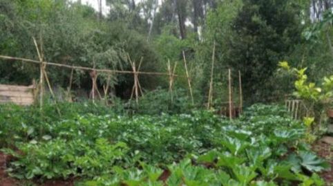 Habitación en Camí de Les Roquetes, 6, La Palma de Cervelló, Barcelona - imagen 4 Foto 4 de Habitación en Camí de Les Roquetes, 6, La Palma de Cervelló, Barcelona