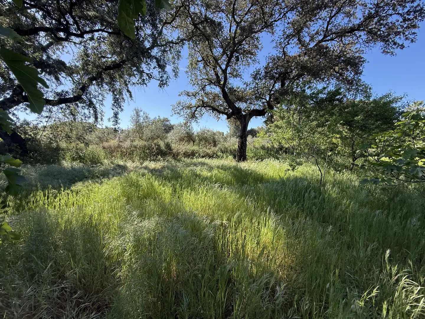 Wohnung zum Verkauf in Arrabal Campomanes AR-18, Dehesilla de Calamón - Campomanes Wohnung zum Verkauf in Badajoz mit Klimaanlage, Heizung und Privatgarten
