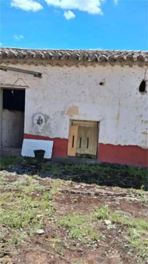 Vista exterior de Casa o chalet en venta en Belver de los Montes con Trastero y Amueblado