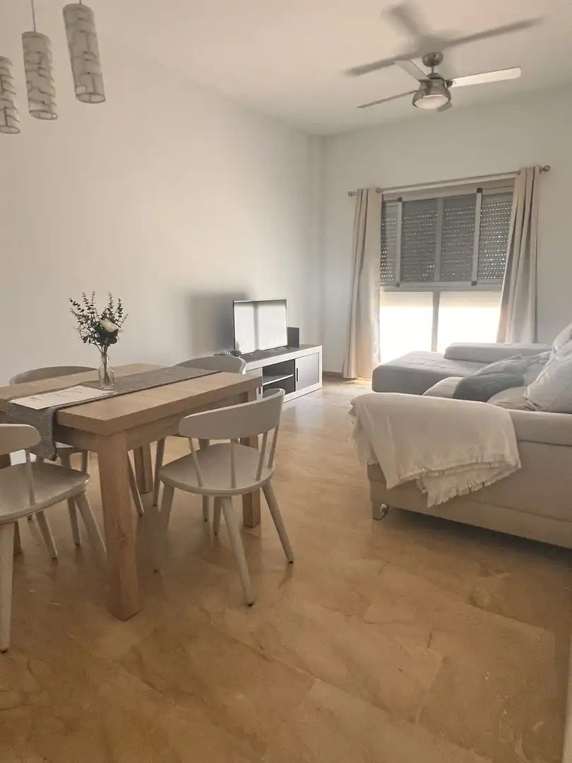 Sala d'estar de Pis de lloguer en Valencia amb Aire condicionat, Calefacció i Jardí privat