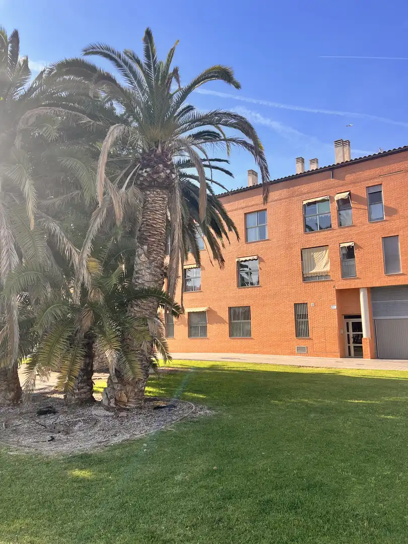 Piso de alquiler en Carrer de la Séquia de la Cadena, 1, La Malva-rosa Vista exterior de Piso de alquiler en Valencia con Aire acondicionado, Calefacción y Jardín privado