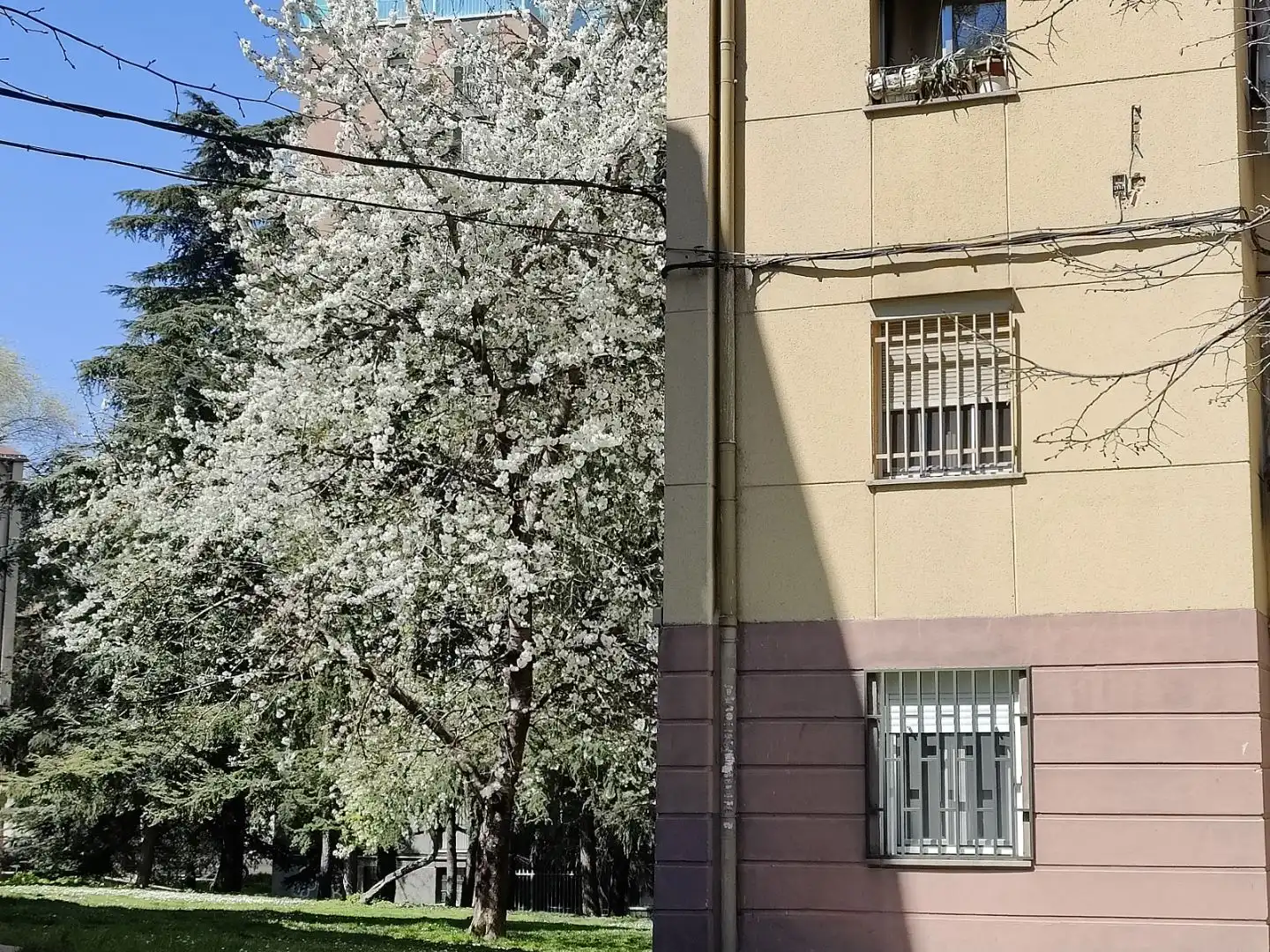 Pis en venda a Calle de San Magín, 15, Zofio Vista exterior de Pis en venda en Madrid amb Aire condicionat, Calefacció i Traster