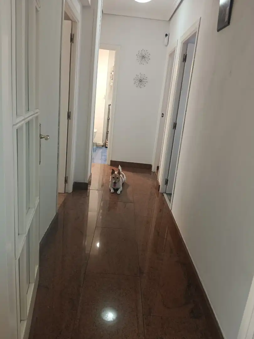 Pis en venda a Calle Isaac Peral, 1, Centro Pis en venda en Ponferrada amb Calefacció, Parquet i Moblat