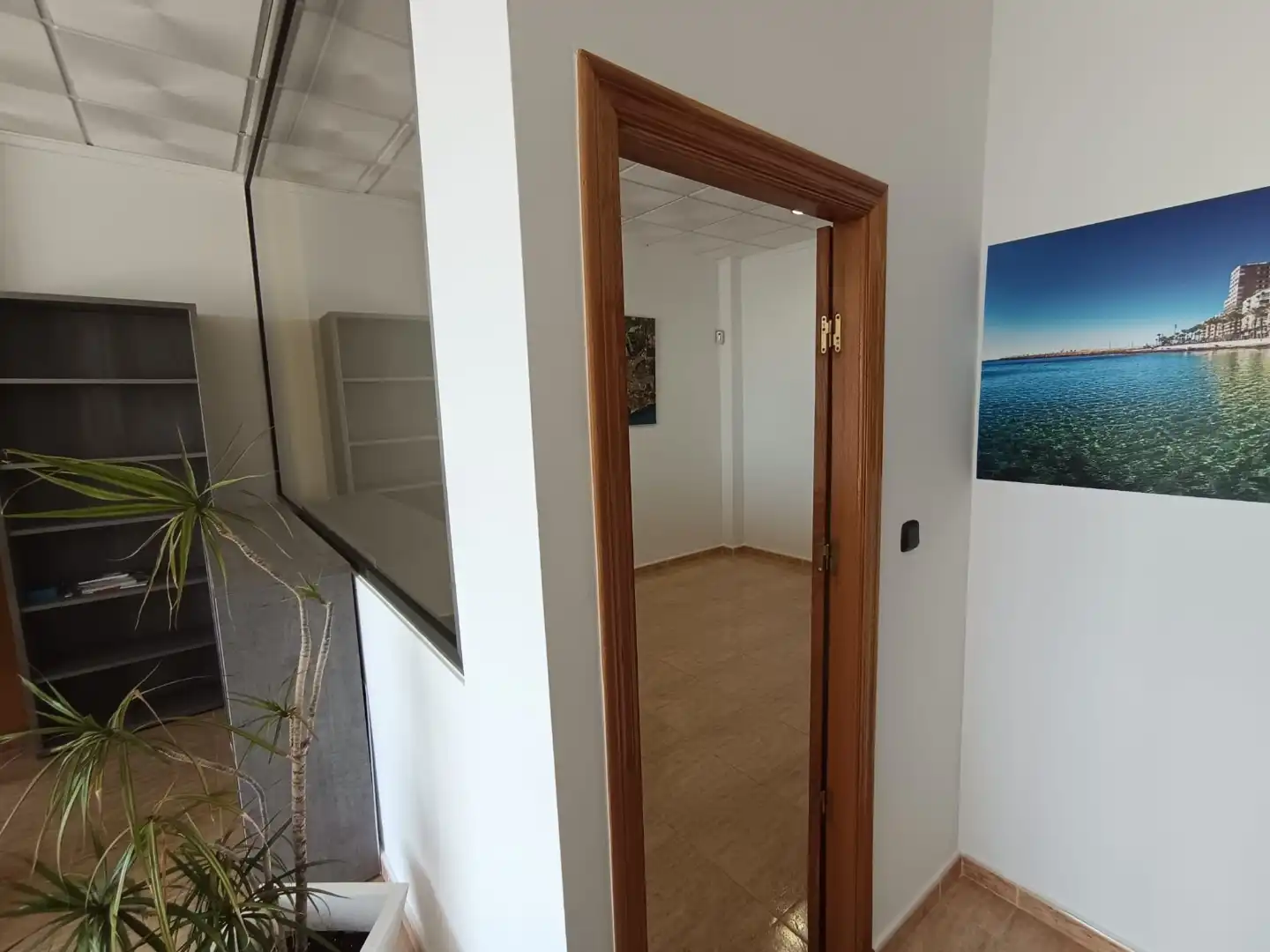 Office for rent in Calle Papaya, 13, Lomas de Cabo Roig - Los Dolses Office for rent in Orihuela