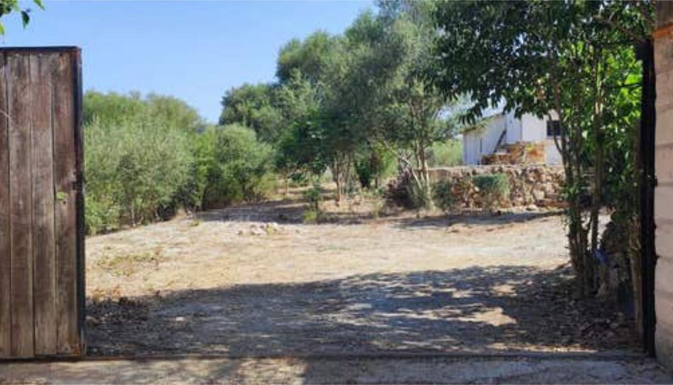 Einfamilien-Reihenhaus zum Verkauf in Muro, Illes Balears - Bild 1 Foto 1 von Einfamilien-Reihenhaus zum Verkauf in Muro, Illes Balears
