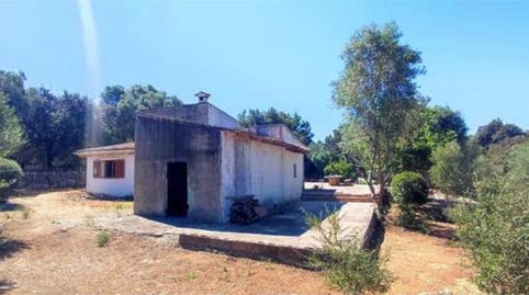 Einfamilien-Reihenhaus zum Verkauf in Muro, Illes Balears - Bild 5 Foto 5 von Einfamilien-Reihenhaus zum Verkauf in Muro, Illes Balears