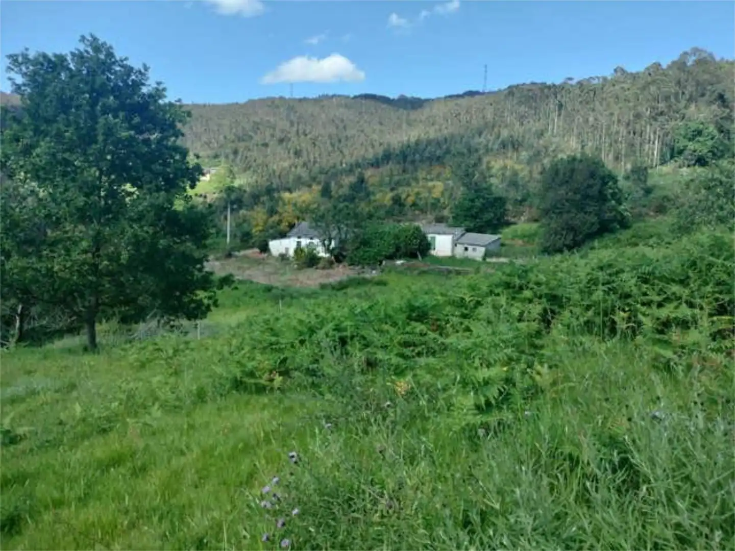 Casa o xalet en venda a Lourenzá Casa o xalet en venda en Lourenzá amb Jardí privat