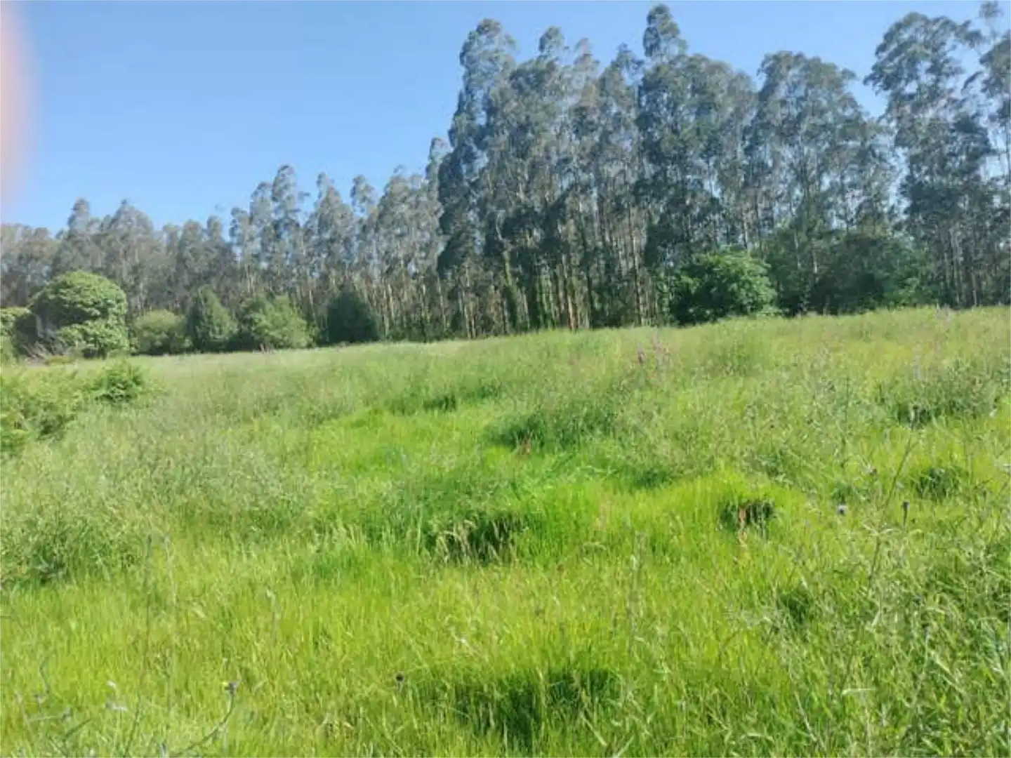 Casa o xalet en venda a Lourenzá Casa o xalet en venda en Lourenzá amb Jardí privat
