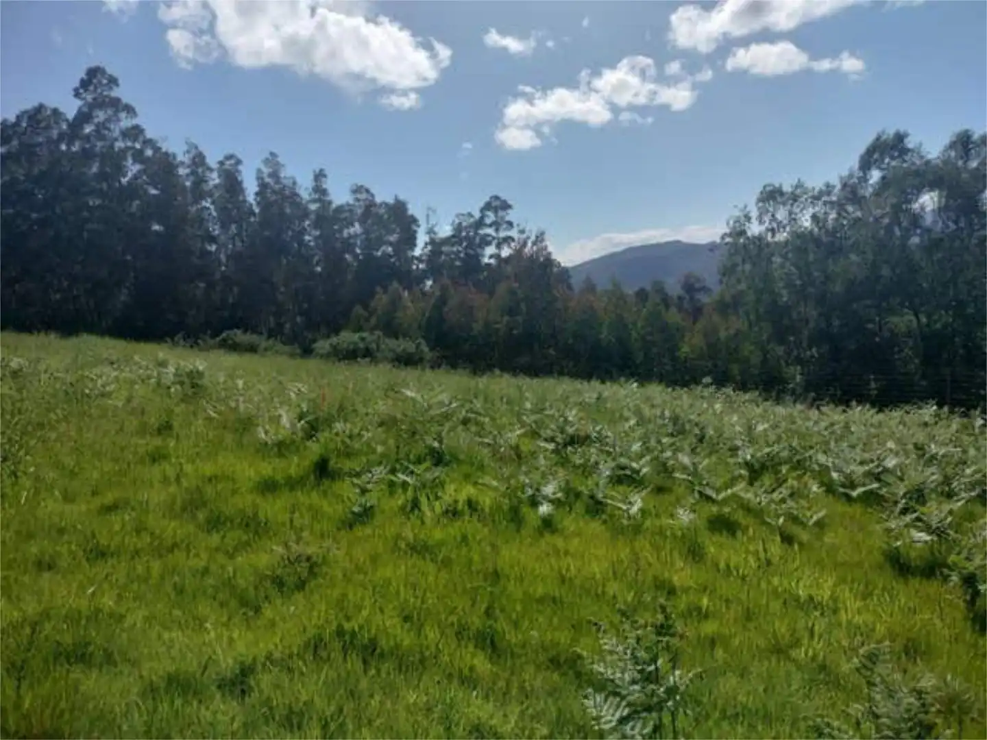 Casa o xalet en venda a Lourenzá Casa o xalet en venda en Lourenzá amb Jardí privat
