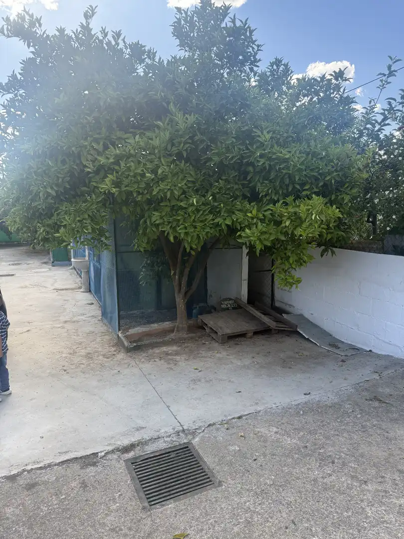 Casa o chalet de alquiler en Diseminado Pedroso, 38, Cabra Jardín de Casa o chalet de alquiler en Cabra con Aire acondicionado, Calefacción y Jardín privado