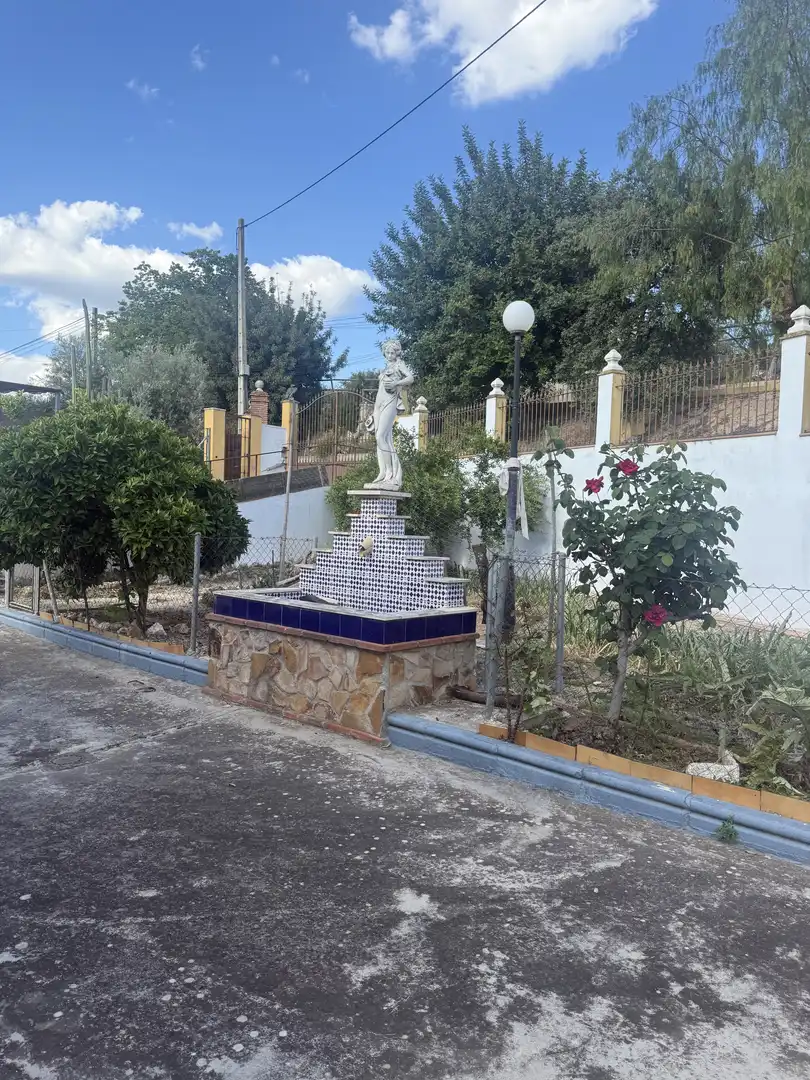 Casa o chalet de alquiler en Diseminado Pedroso, 38, Cabra Vista exterior de Casa o chalet de alquiler en Cabra con Aire acondicionado, Calefacción y Jardín privado