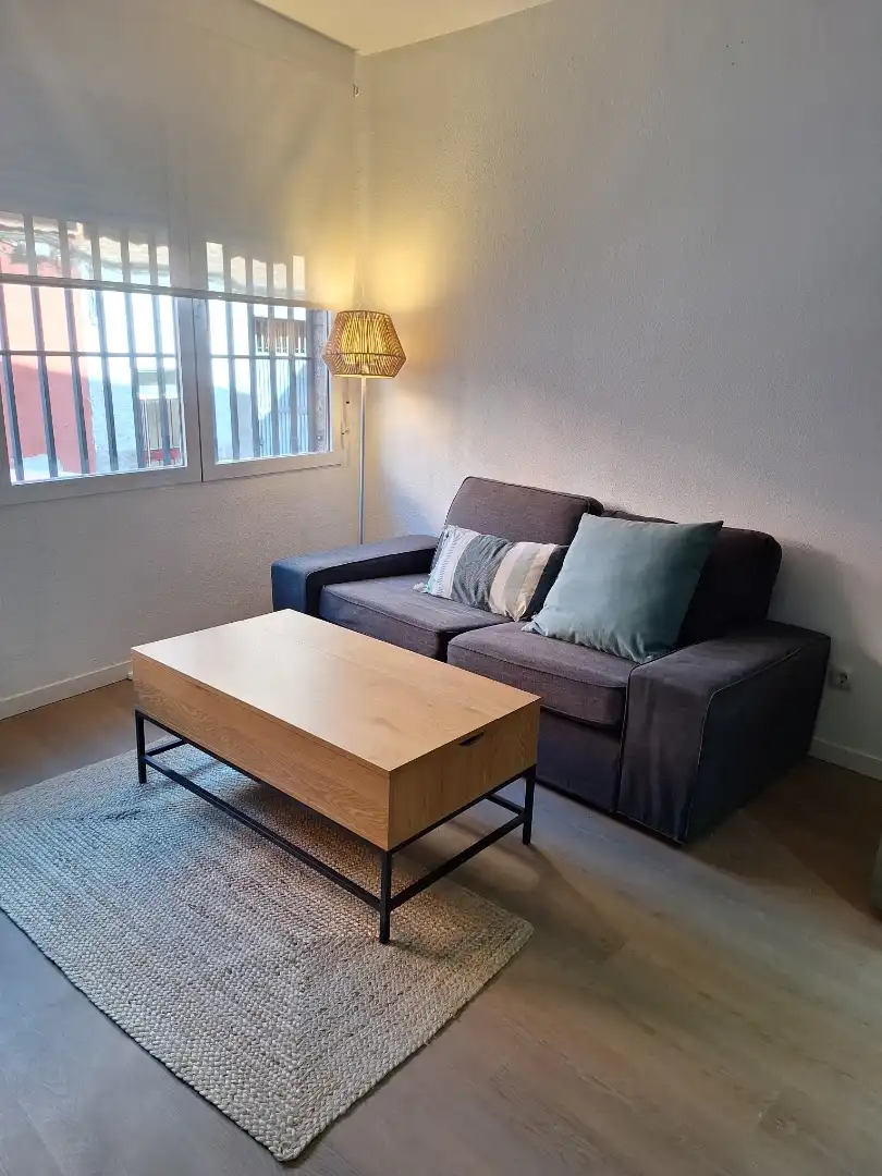 Sala d'estar de Apartament de lloguer en Madrid