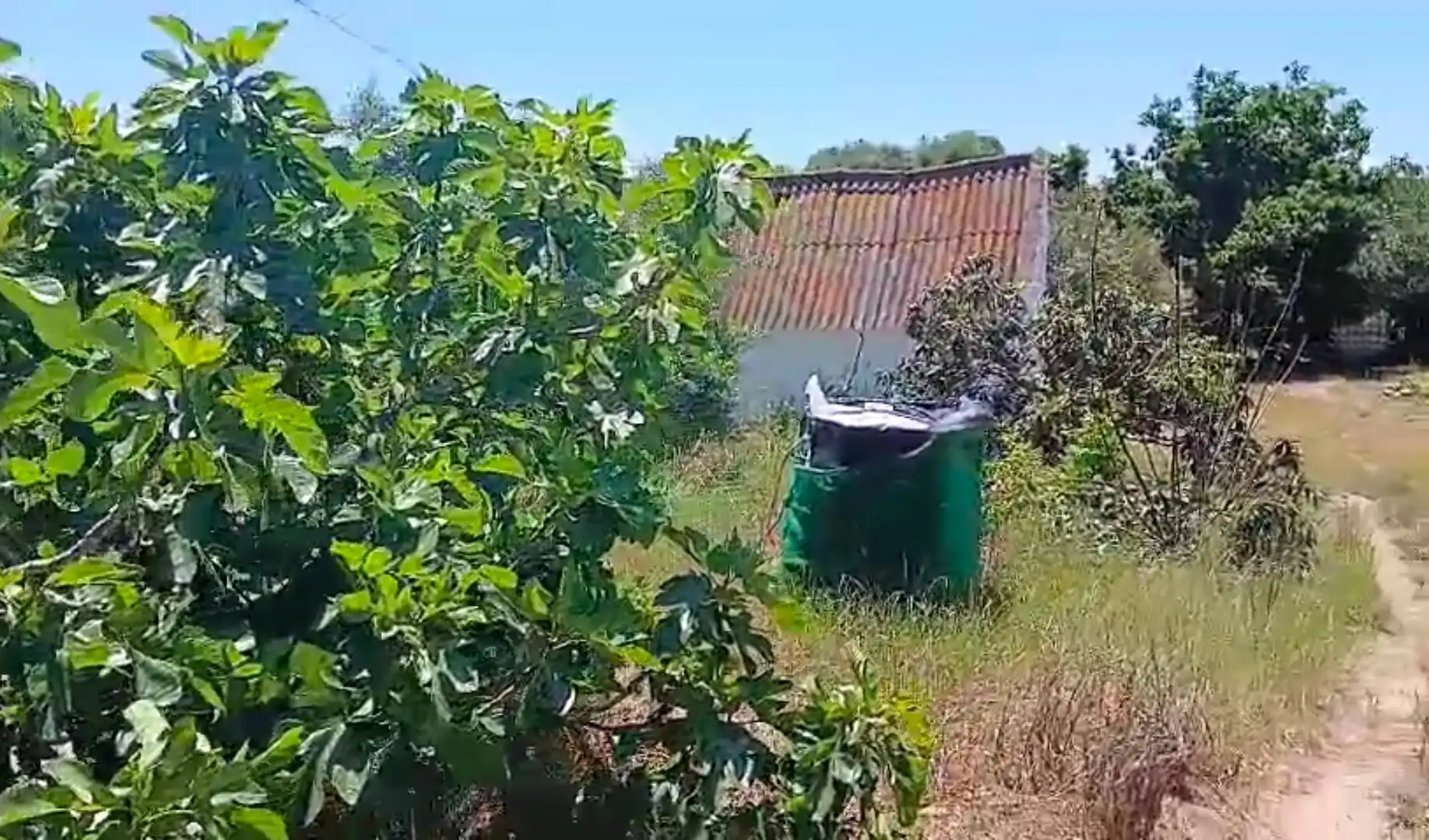 Casa o xalet en venda a Calle Libreros, 17, Vejer Casa o xalet en venda en Vejer de la Frontera amb Jardí privat