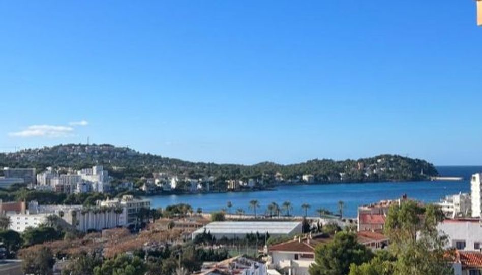 Piso en venta en Carrer de Nunyo Sanç, 24, Costa de la Calma, Calvià - imagen 1 Foto 1 de Piso en venta en Carrer de Nunyo Sanç, 24, Costa de la Calma, Calvià