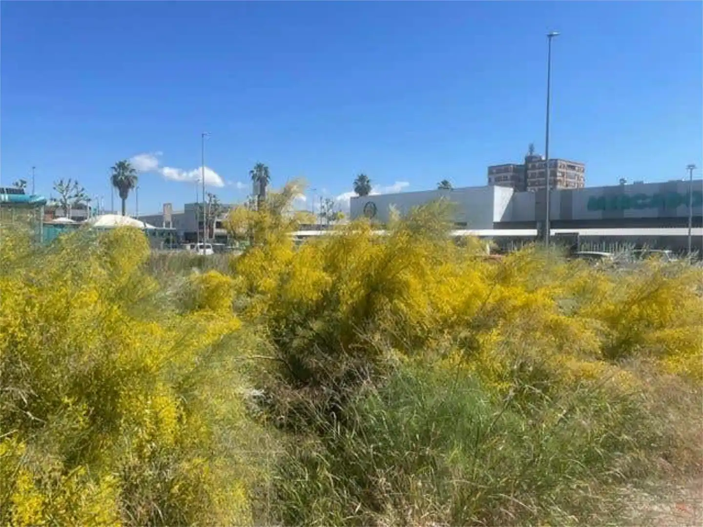 Außenansicht von Fabrikhallen zur Miete in Talavera de la Reina