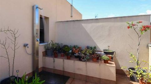 Foto 4 de Casa o chalet en venta en Pago San José - Princi - Jerez, Jerez de la Frontera