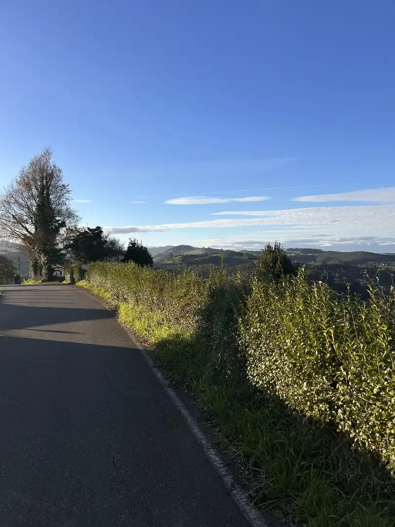 Vista exterior de Finca rústica en venta en Gijón  con Jardín privado