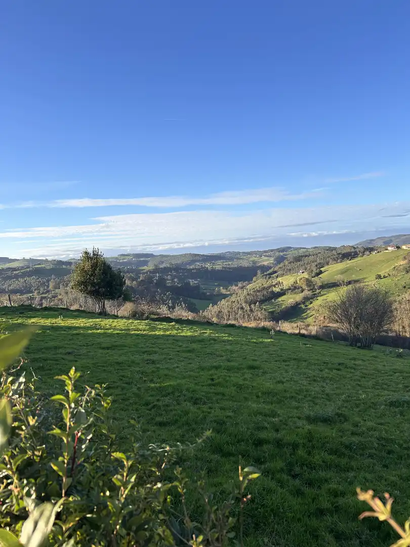 Finca rústica en venta en Cenero Finca rústica en venta en Gijón con Jardín privado