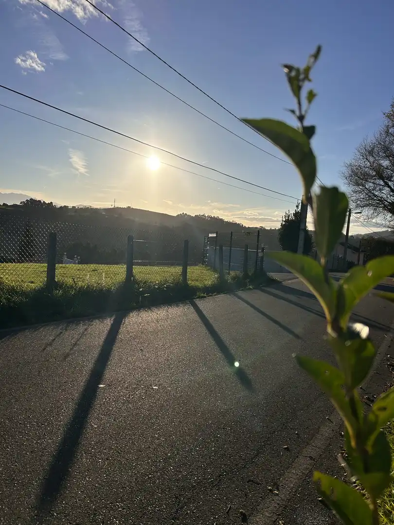 Vista exterior de Finca rústica en venta en Gijón  con Jardín privado