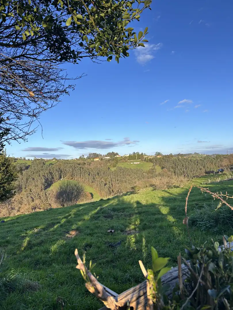 Vista exterior de Finca rústica en venta en Gijón  con Jardín privado