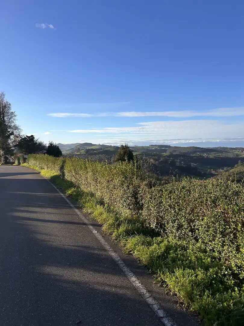 Vista exterior de Finca rústica en venta en Gijón  con Jardín privado