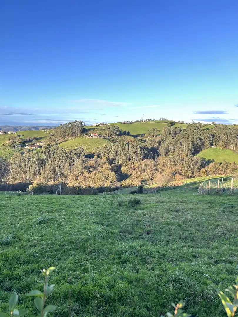 Vista exterior de Finca rústica en venta en Gijón  con Jardín privado