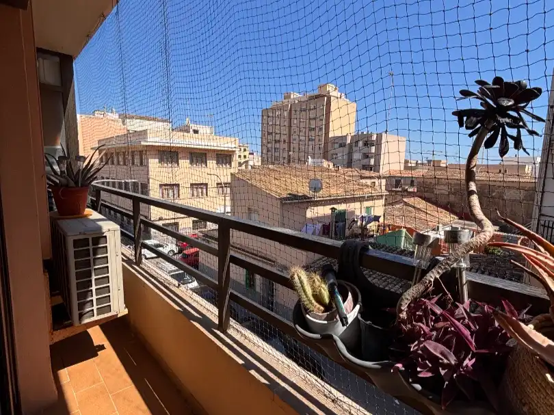 Pis en venda a Carrer de Sureda, 7, La Soledat Nord Terrassa de Pis en venda en Palma de Mallorca