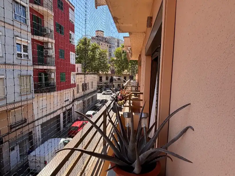 Pis en venda a Carrer de Sureda, 7, La Soledat Nord Terrassa de Pis en venda en Palma de Mallorca