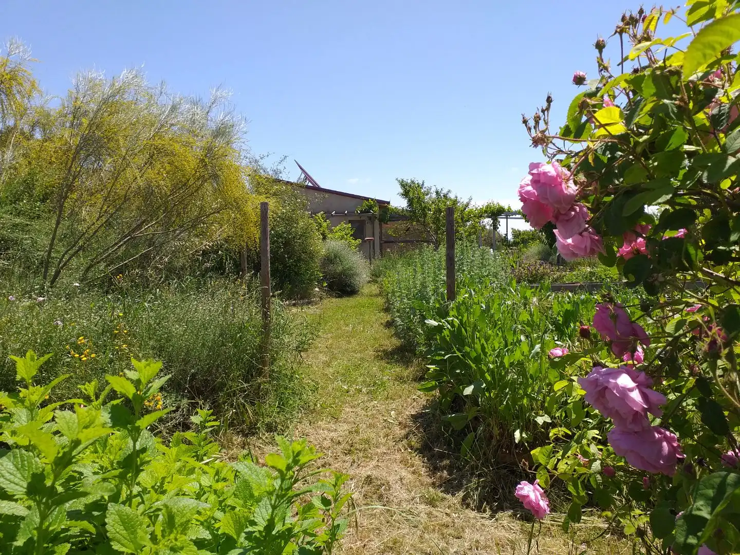 Wohnung zum Verkauf in Calle Mayor F, 4, Ilche Garten von Wohnung zum Verkauf in Ilche mit Klimaanlage, Heizung und Privatgarten