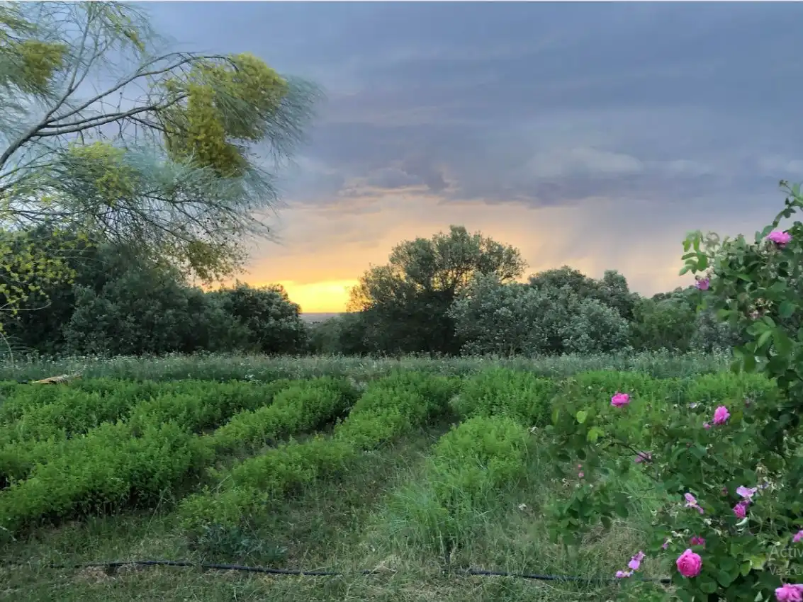 Finca rústica en venda a Calle Mayor F, 4, Ilche Finca rústica en venda en Ilche amb Aire condicionat, Calefacció i Jardí privat