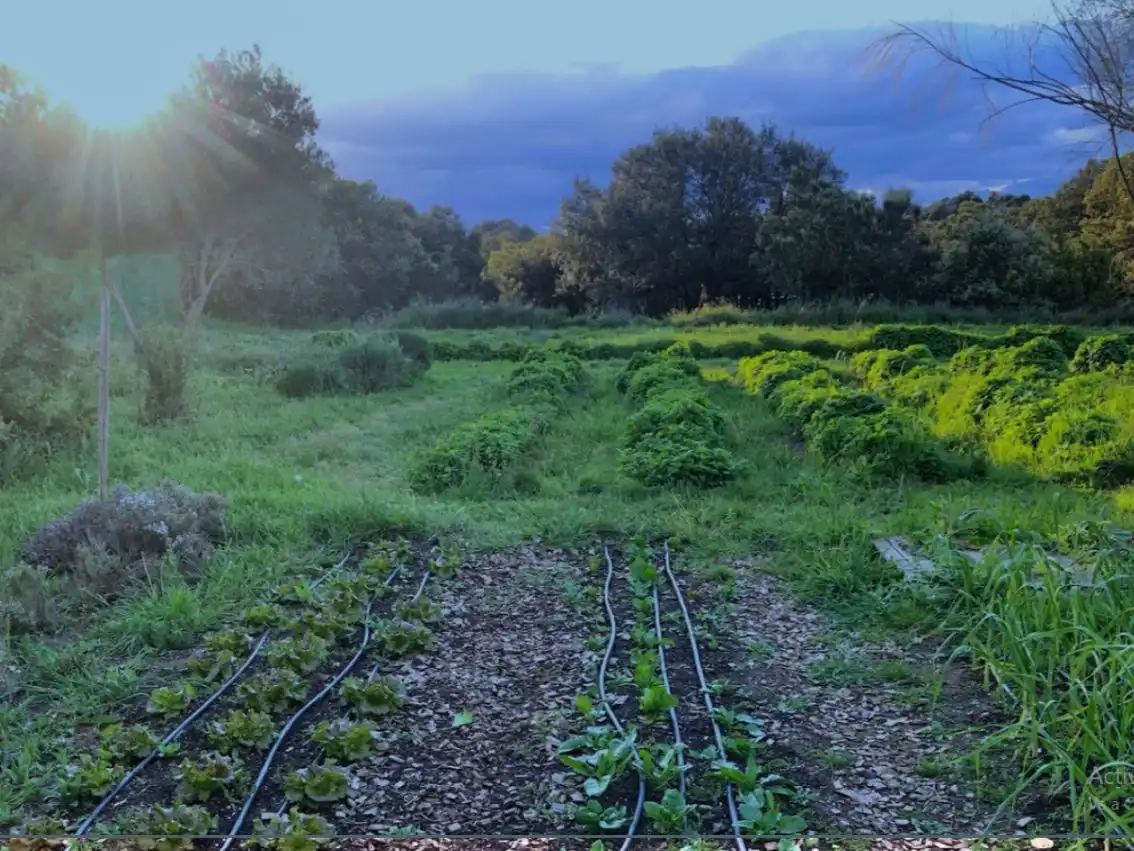 Finca rústica en venda a Calle Mayor F, 4, Ilche Finca rústica en venda en Ilche amb Aire condicionat, Calefacció i Jardí privat