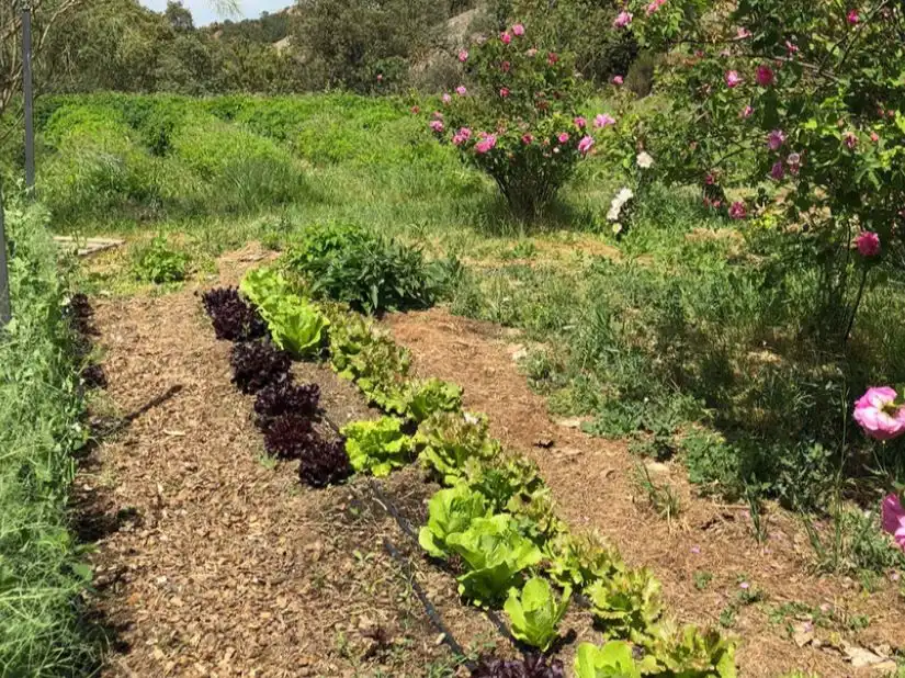 Finca rústica en venda a Calle Mayor F, 4, Ilche Jardí de Finca rústica en venda en Ilche amb Aire condicionat, Calefacció i Jardí privat