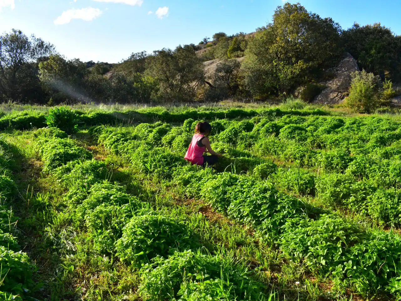 Finca rústica en venda a Calle Mayor F, 4, Ilche Jardí de Finca rústica en venda en Ilche amb Aire condicionat, Calefacció i Jardí privat
