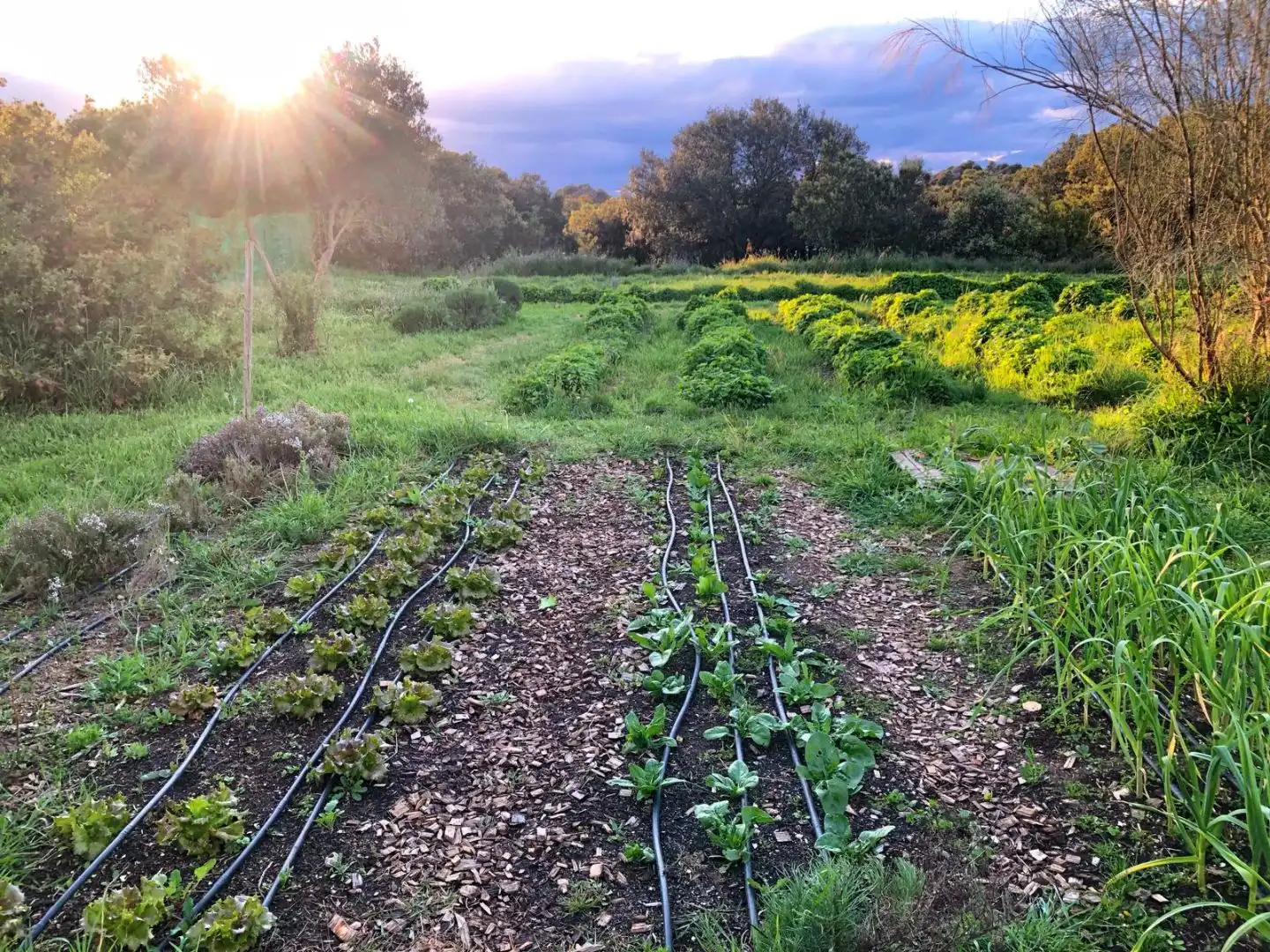 Finca rústica en venda a Calle Mayor F, 4, Ilche Finca rústica en venda en Ilche amb Aire condicionat, Calefacció i Jardí privat