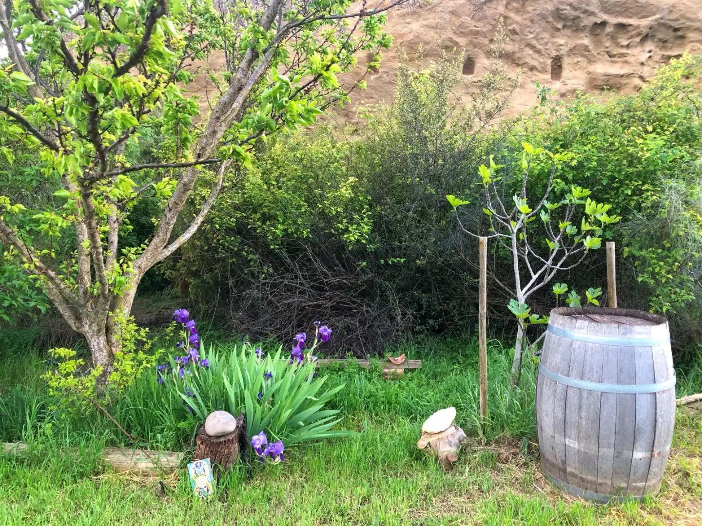 Finca rústica en venda a Calle Mayor F, 4, Ilche Jardí de Finca rústica en venda en Ilche amb Aire condicionat, Calefacció i Jardí privat