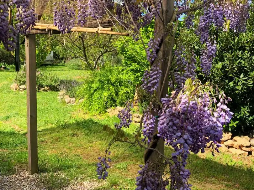 Finca rústica en venda a Calle Mayor F, 4, Ilche Jardí de Finca rústica en venda en Ilche amb Aire condicionat, Calefacció i Jardí privat
