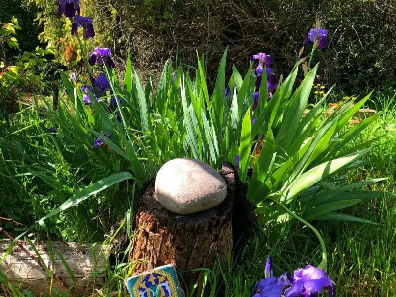 Finca rústica en venda a Calle Mayor F, 4, Ilche Jardí de Finca rústica en venda en Ilche amb Aire condicionat, Calefacció i Jardí privat