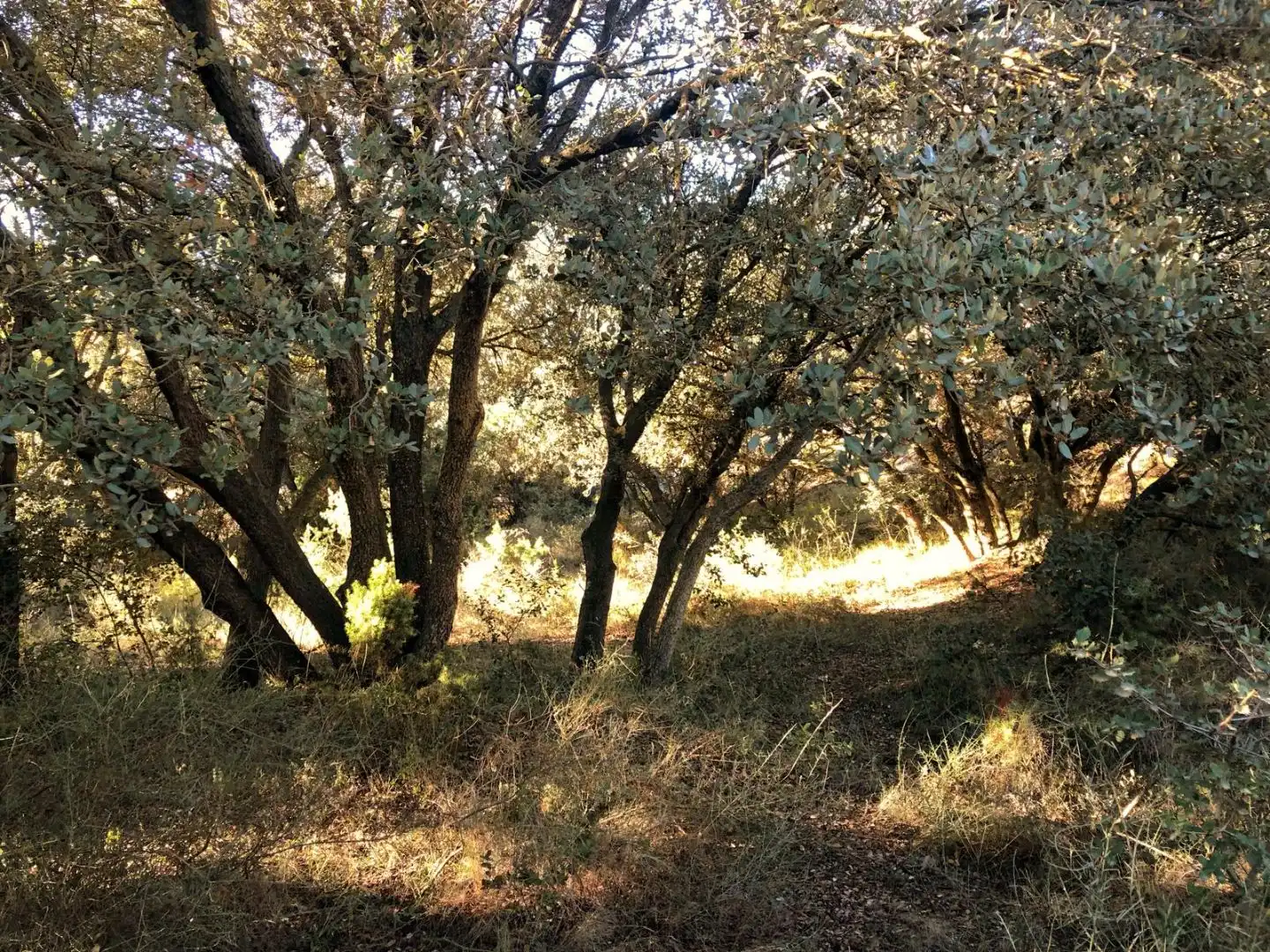 Finca rústica en venda a Calle Mayor F, 4, Ilche Finca rústica en venda en Ilche amb Aire condicionat, Calefacció i Jardí privat