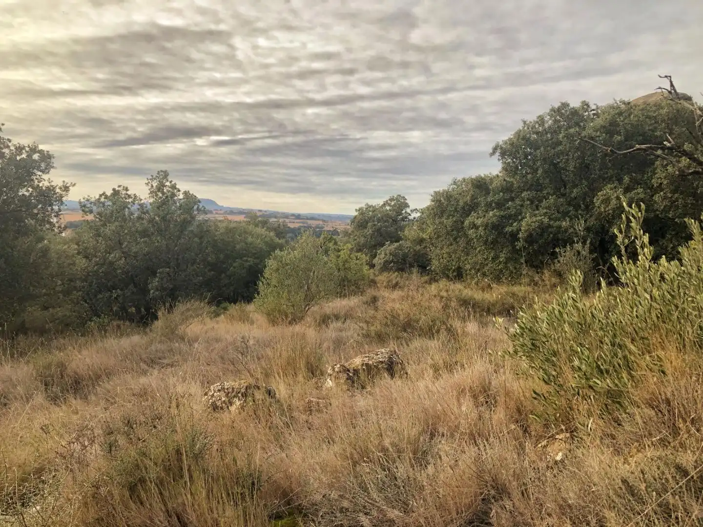 Finca rústica en venda a Calle Mayor F, 4, Ilche Finca rústica en venda en Ilche amb Aire condicionat, Calefacció i Jardí privat